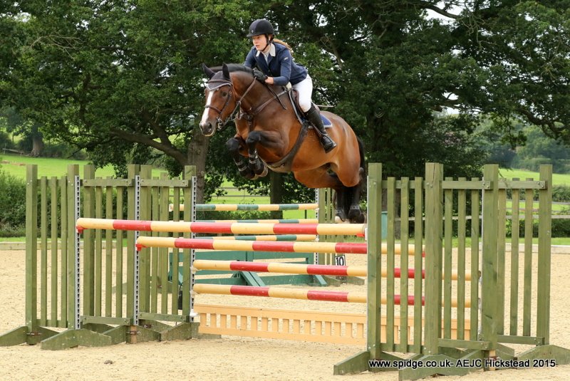 SJumping_Vision's tweet photo. Super Dy-Korette placed 3rd in todays 1.30m #Pycombe #Showjumping #Equestrian #Horse ##Dutchwarmblood https://t.co/ZtBDumKdyA