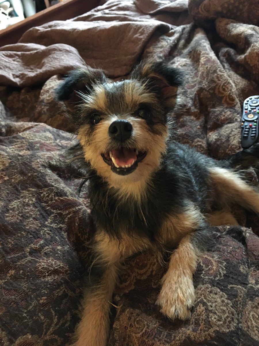 Macy46074's tweet photo. Yup, I'm pretty cute.... https://t.co/AsBbMlKeYY