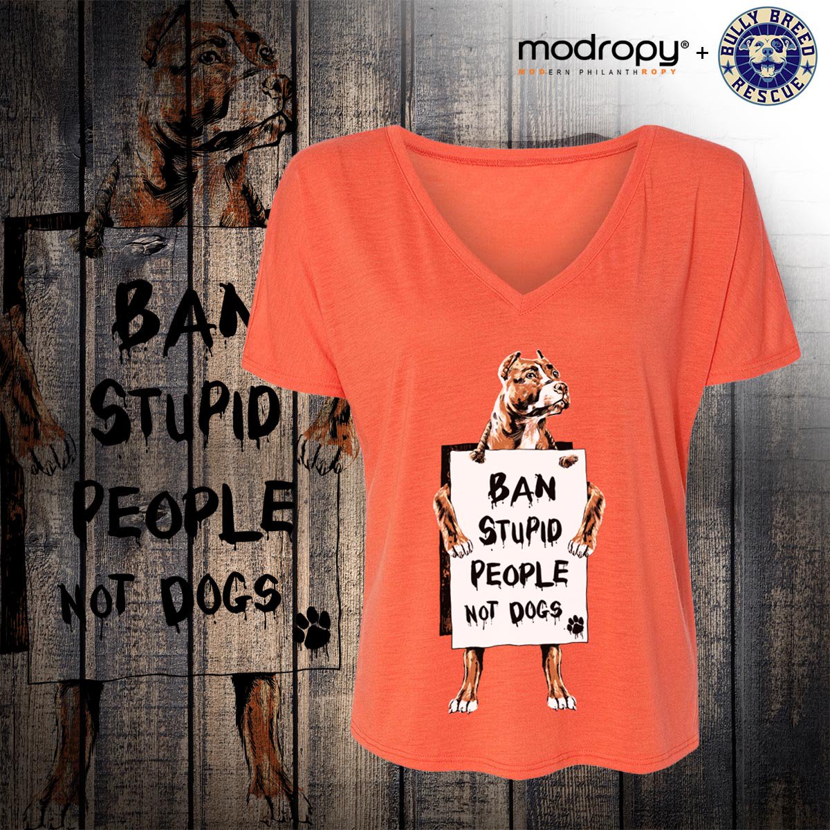 Modropy tweet picture