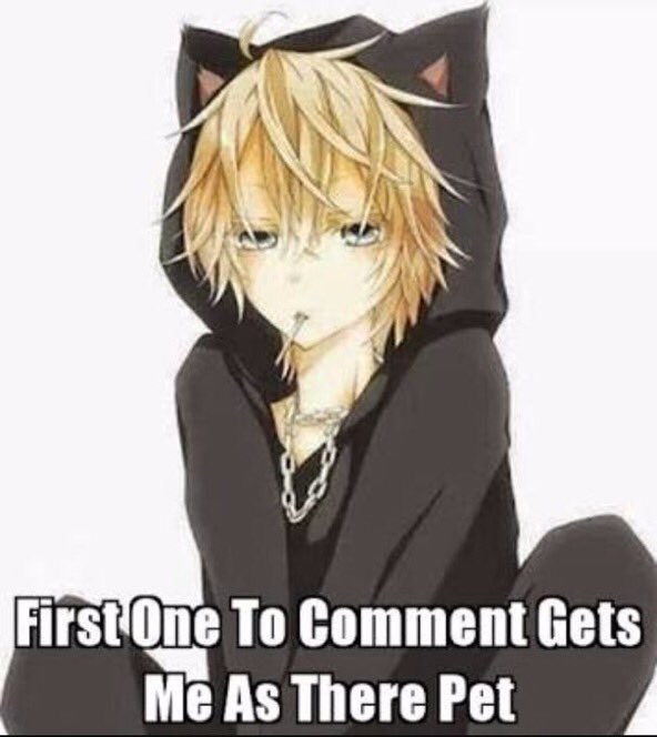 Flippy (human) (@mtheredgaurd) on Twitter photo 