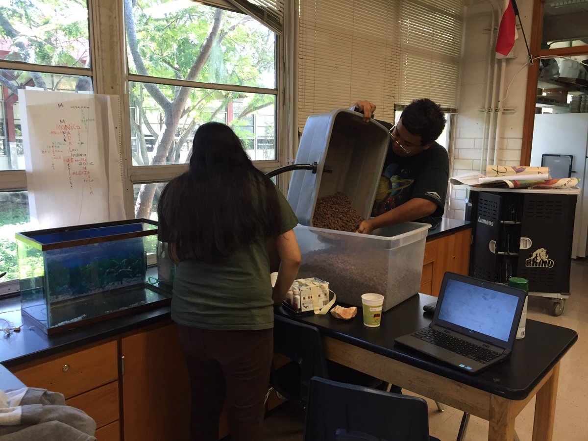 EastsideSoil's tweet photo. Sooo #PantherProud of #KeepEastsideBeautiful work today: aquaponic research, zero waste, weeding w/ @TexasBlazers https://t.co/1RMNTmaEp4
