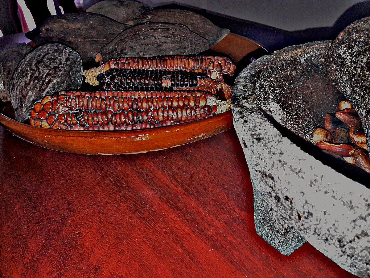 AlexisRa_'s tweet photo. Historia, identidad &amp; cultura. #cacao #maíz  orgullo de la nación. #gastronomiamx #gastronomiaCuc @TurismoUdeG 🌽🌰🍃🇲🇽 https://t.co/NBXp8zqQRl