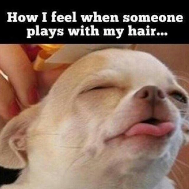 BurningPounds's tweet photo. When someone plays with your hair! https://t.co/88vqKkBc24