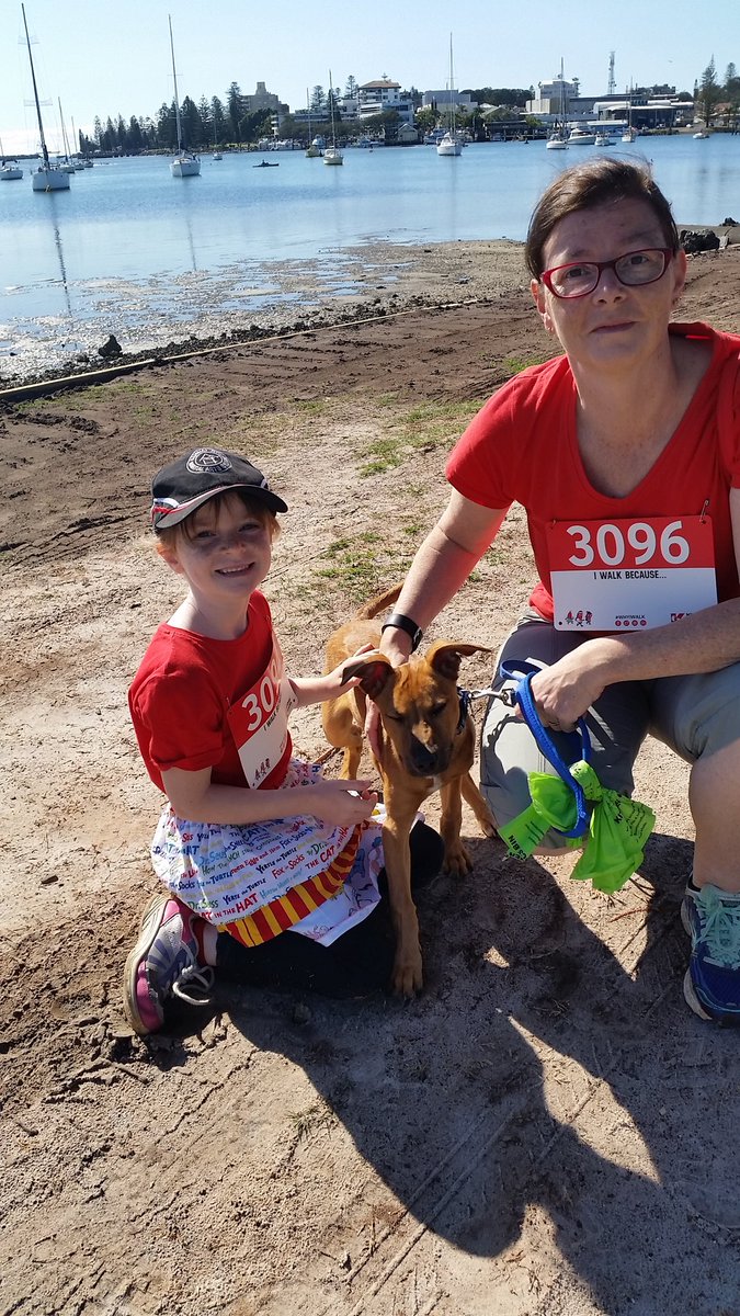 Rctseptember's tweet photo. #BigRedKidneyWalk port macquarie https://t.co/M4PcQ23g7v