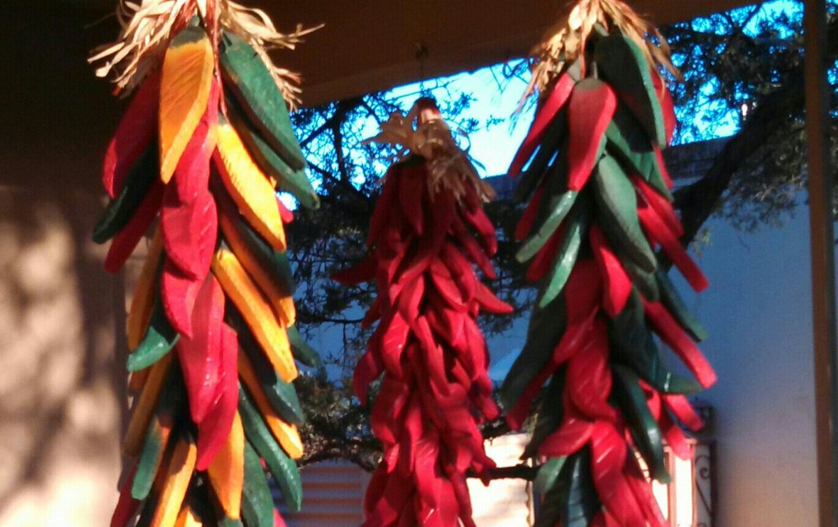 RockyCruz5's tweet photo. It's chile time in New Mexico. A turn of the season @HatchGreenChile #GilbertCruz https://t.co/TGYS23jnqE