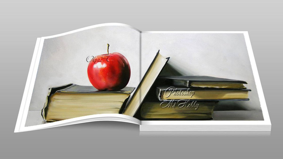 Olga Tapia tweet media