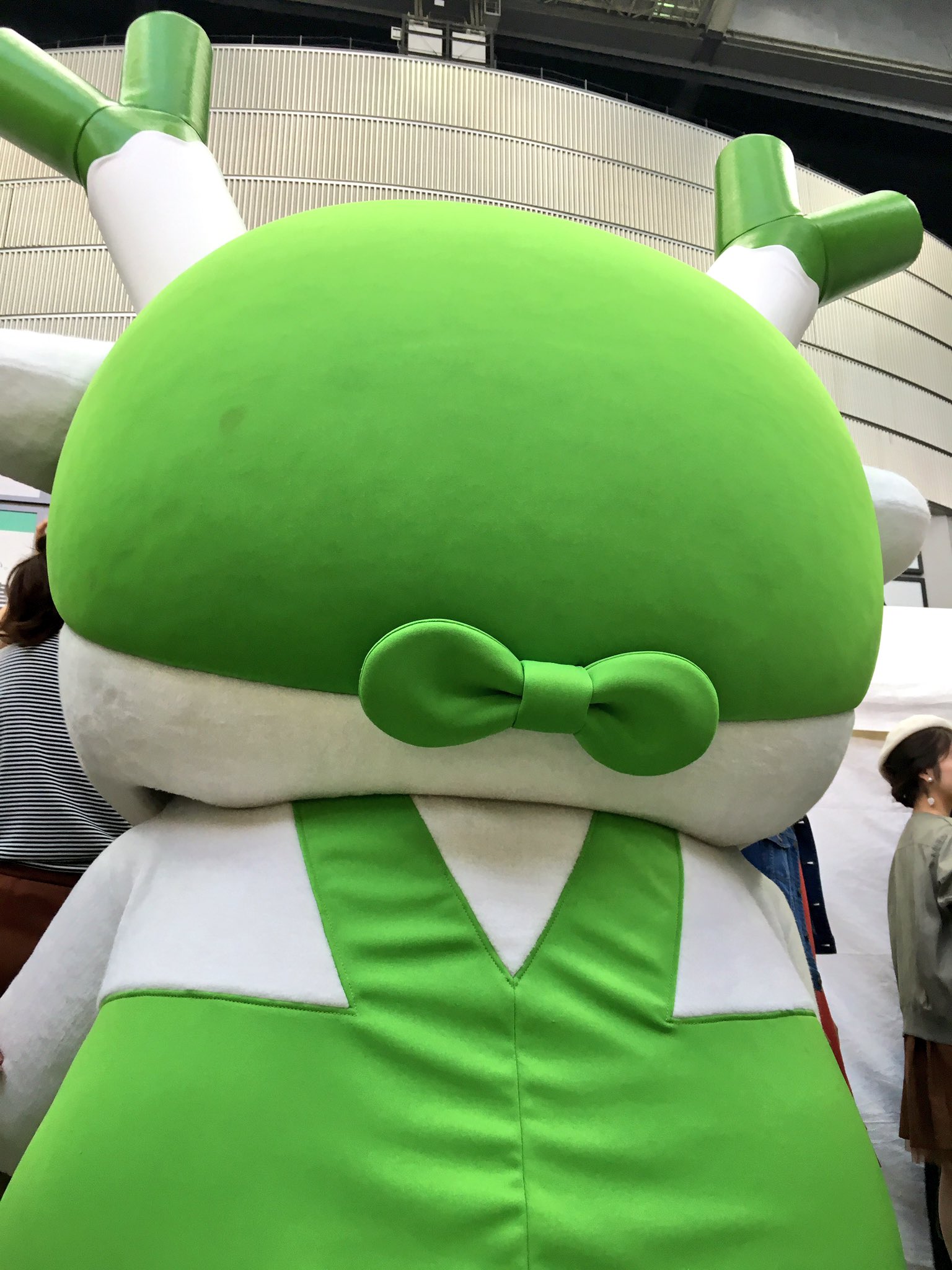 小林千鶴 埼玉のゆるキャラ ふっかちゃん 昨日会って知ったこと 後ろ姿が めっちゃ可愛い T Co Jbbve Twitter 小林千鶴 埼玉のゆるキャラ ふっかちゃん 昨日会って知ったこと 後ろ姿が めっちゃ可愛い T Co Jbbve Twitter