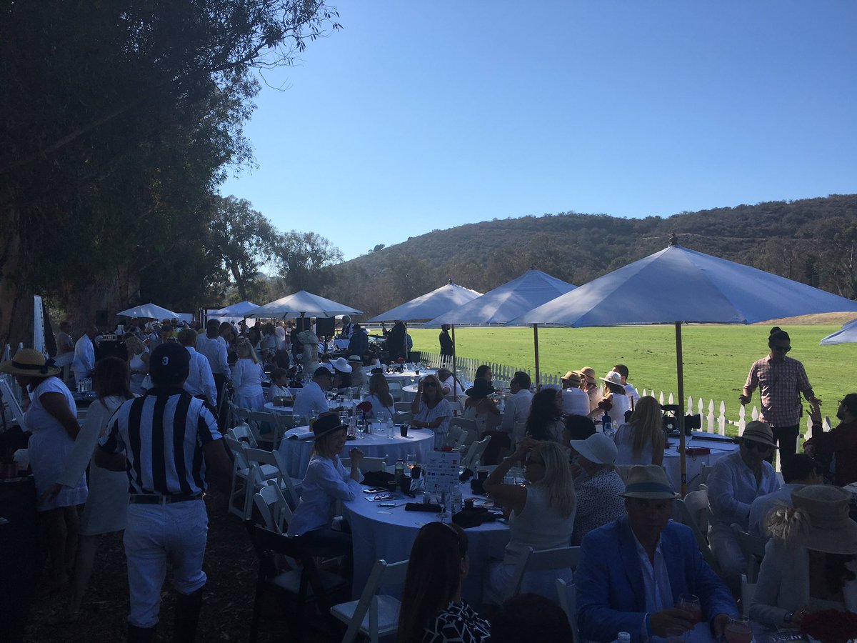 StarTrekCupcake's tweet photo. At the 9th Annual Safety Harbor Kids Polo Classic Charity Event. https://t.co/riRVj4UdAj