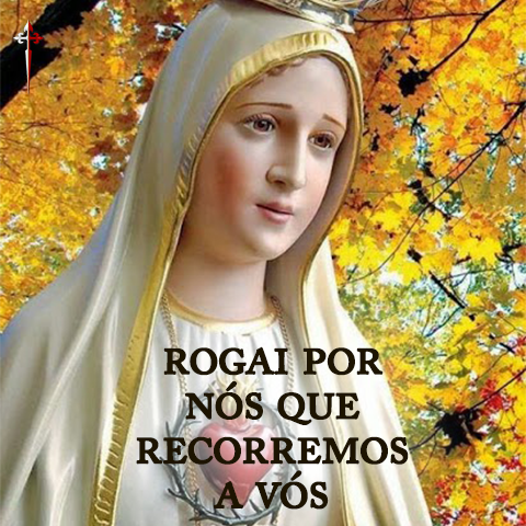 arautosbrasil's tweet photo. Boa noite! Peçamos a Maria Santíssima que rogue por nós junto a Deus e nos ajude a viver a santidade! https://t.co/mzk2BN9id2
