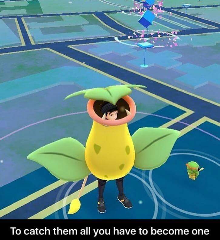 TeamMysticCOSpr's tweet photo. @MysticDenver @TeamMysticPGO @BlancheLeader #TeamMystic #TeamValor #TeamInstinct Adapt to your surroundings! https://t.co/wQ8BVWjWBF