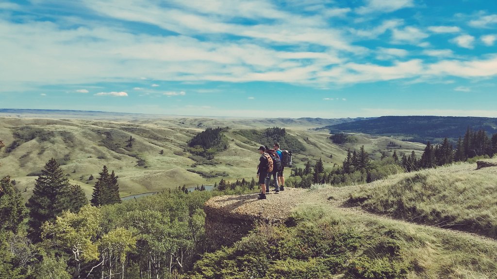 Saskatchewan's tweet photo. Conglomerate cliffs never cease to amaze! #ExploreSask #GoingLocalCHDA #NotSoFlat https://t.co/kMFFeLPDcu