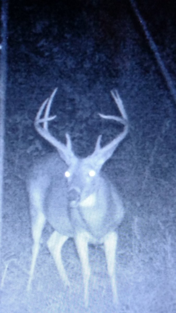 Eric Wooten (@solocam_hunter) on Twitter photo 