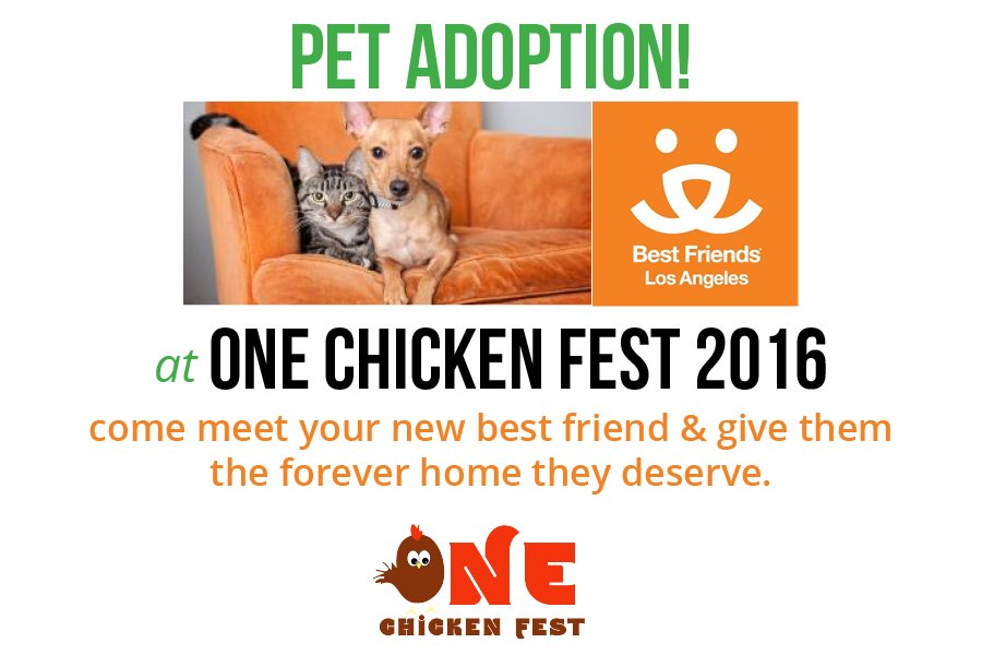 OneChickenFest's tweet photo. Find your new best friend at #OCF2016! Partnered with @BFAS_LA & @NKLA #SaveThemAll #onechicken https://t.co/e0rTZPnDry