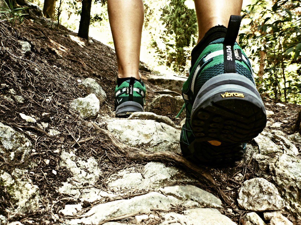 Outdoor_360's tweet photo. OUTDOOR 360° Tested The #SALEWA WILDFIRE S GTX
#outdoor #news #gear #outdoorgear #vibram https://t.co/sDkcWnSv12 https://t.co/r66I0OCXlc