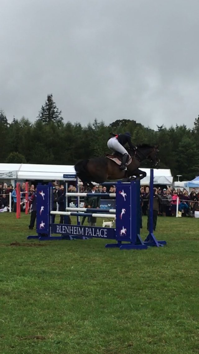 Follyfoothealing tweet media