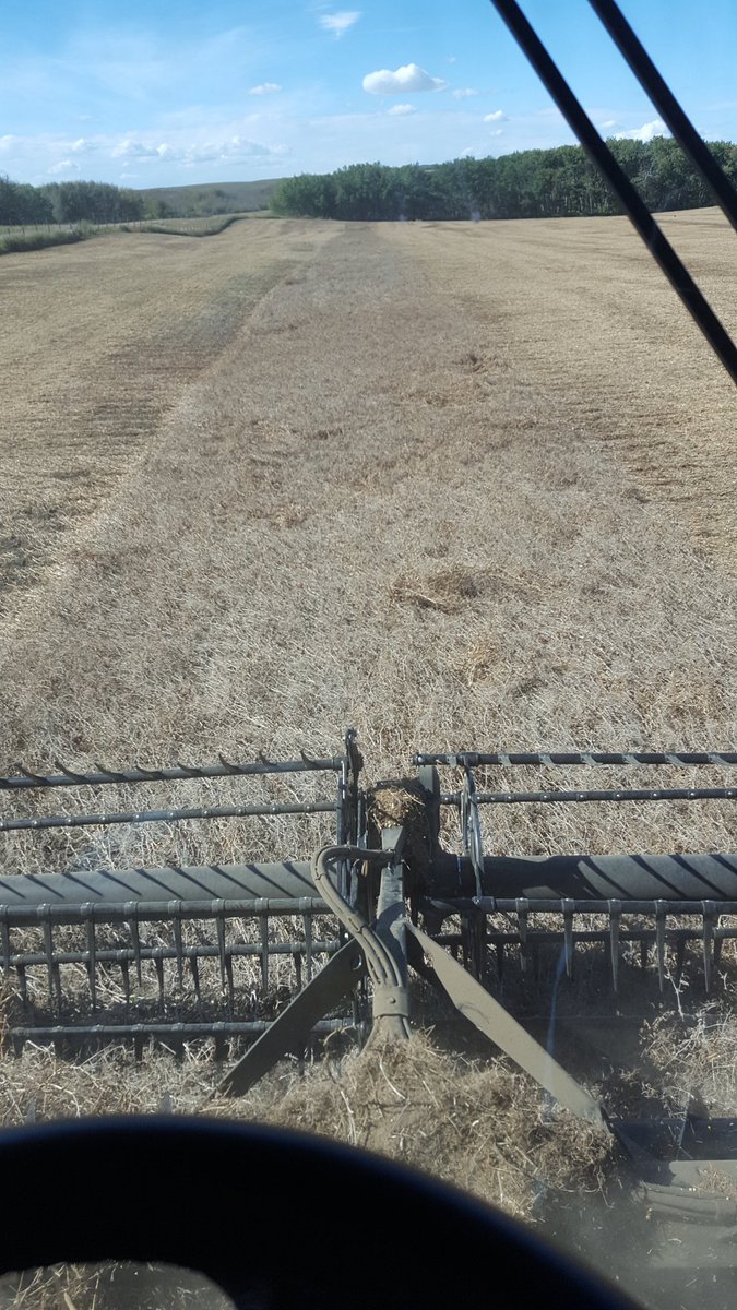 mbgrainfarmer's tweet photo. It official!!! Done the peas!! #neveragainuntilnextyear https://t.co/UG1FOegKap