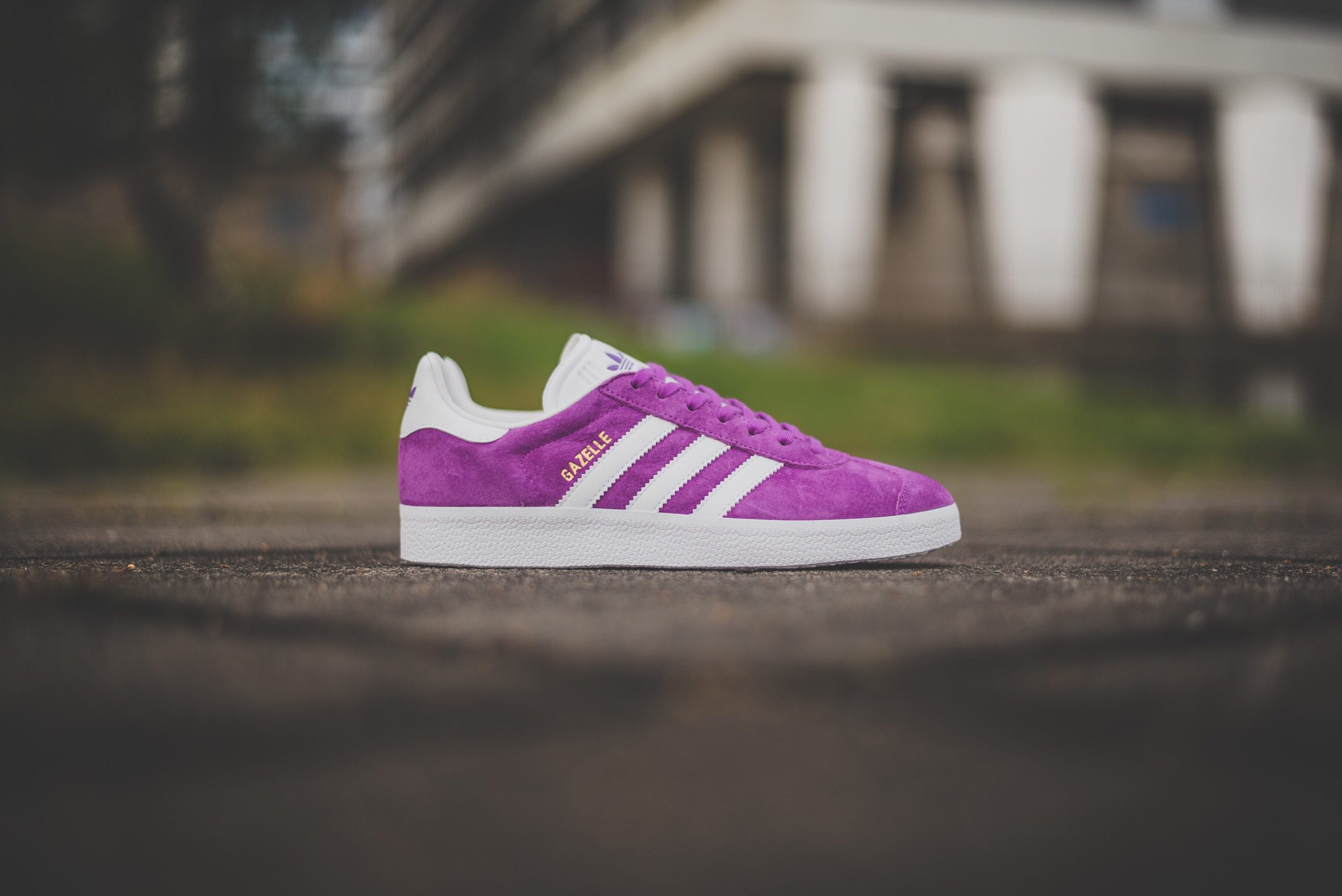 HANON on Twitter: "adidas “Shock Purple” is available to buy ONLINE now! #hanon #adidas https://t.co/ydTw6B4ydH https://t.co/sWNaIbsPW3" / Twitter