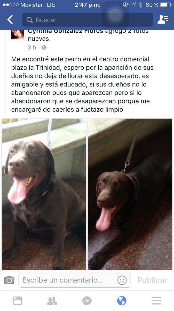 PerroUsuario tweet picture