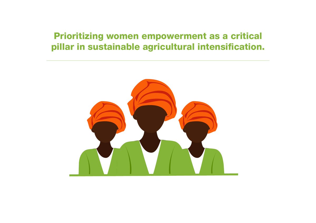CIMMYT's tweet photo. Harnessing gender component critical for agricultural transformation in #Africa #AGRF2016 #SIMLESA https://t.co/qrZ0hIV9iM