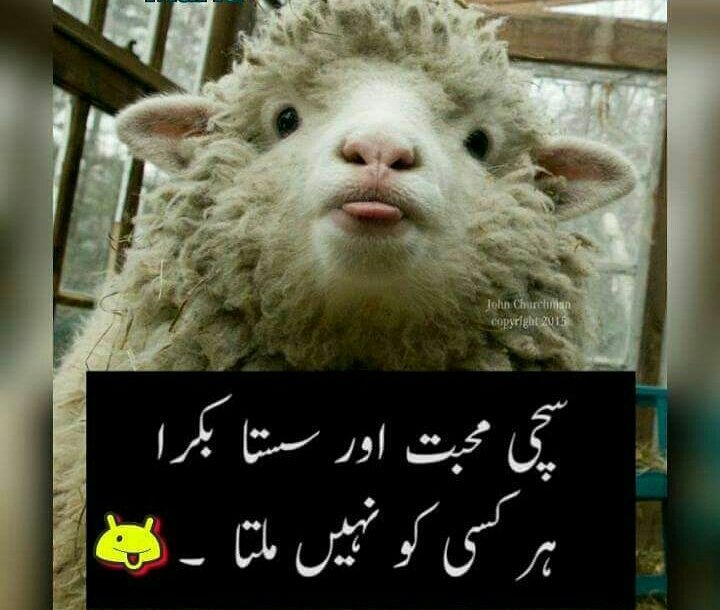 IqraLibra1's tweet photo. 😂😂 https://t.co/oSmI1d3xME