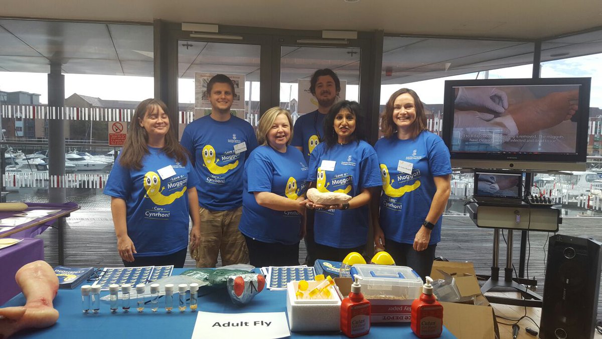 yamnette's tweet photo. Setting up #loveamaggot #BSF16 at Swansea waterfront museum #teammaggot @HumanandHealth @BritishSciFest @SwanseaUni https://t.co/TyW0sIbQII