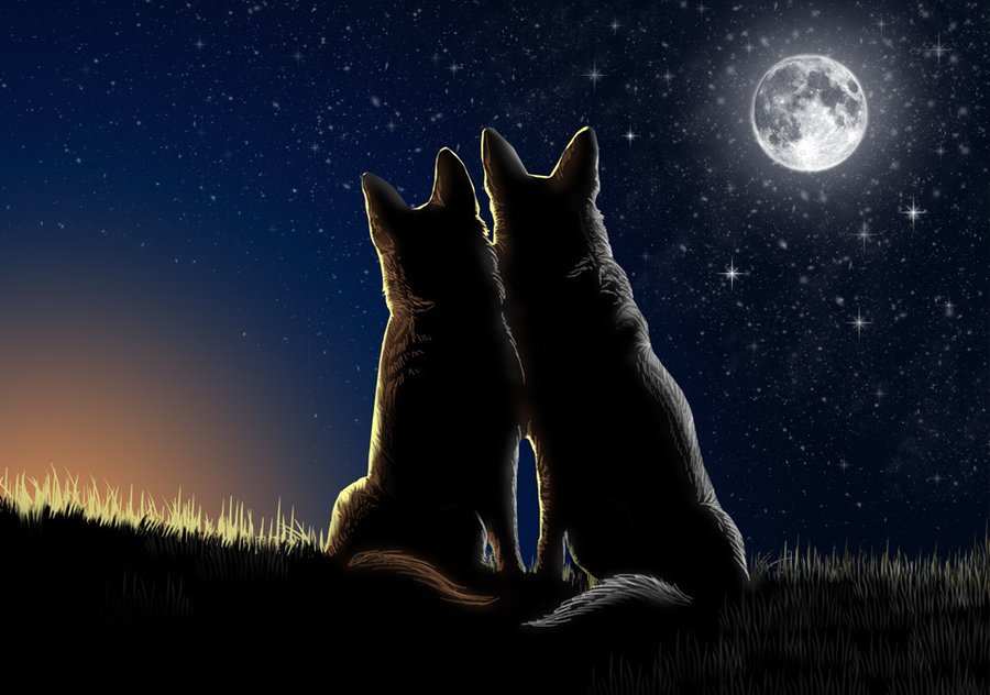 How very different
The stars look..

When all dark has
Been extinguished.
#M