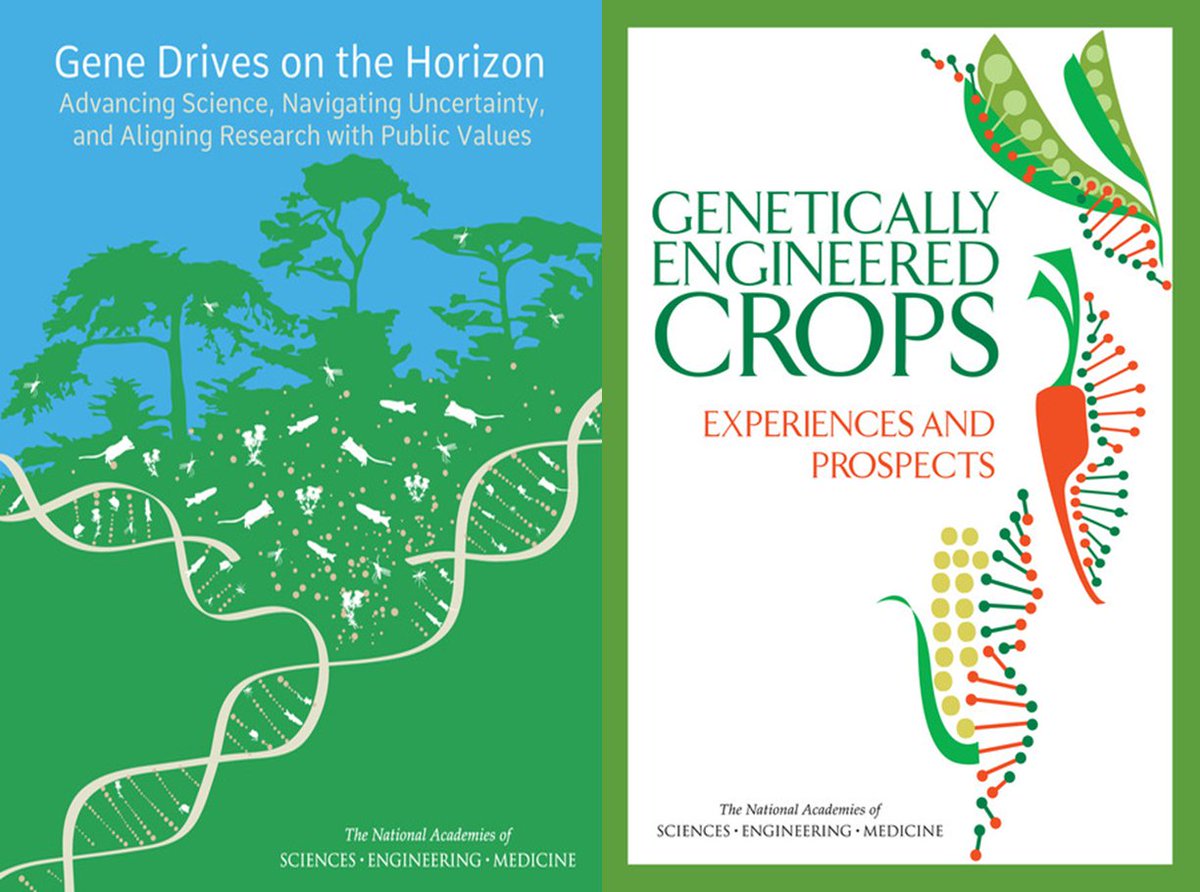 NASEM_Ag's tweet photo. Both #GeneDriveStudy & #GECropStudy are free to download! https://t.co/FhkhuX7ftp & https://t.co/6JZea2aCa2 https://t.co/wIOImYUZQw