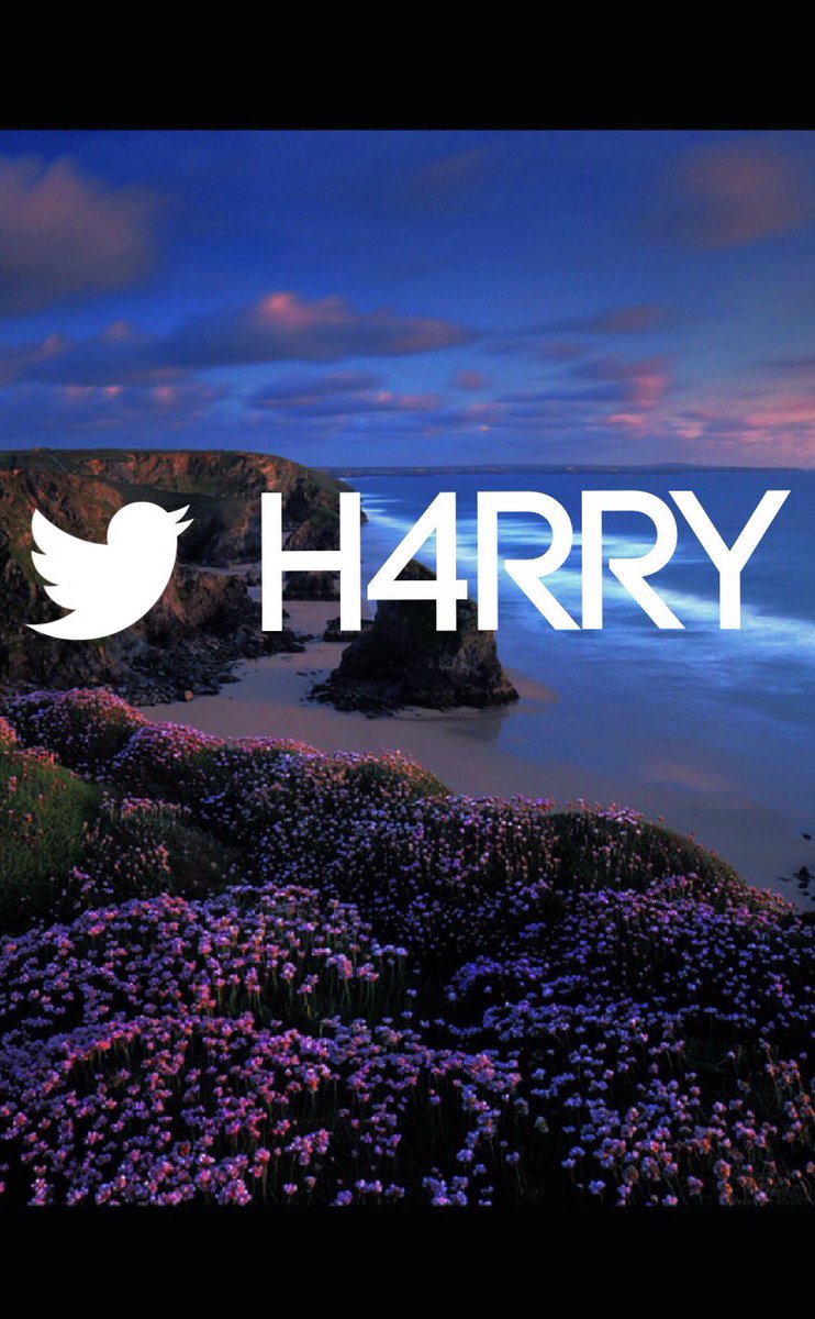 ValkGraphics's tweet image. Twitter Header and Iphone/Ipad wallpaper for @H4rryYT