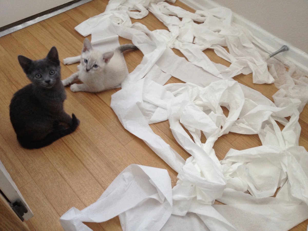 "Hey! We know you rescued us,
so we thought we’d throw you a parade!

You’re welcome."