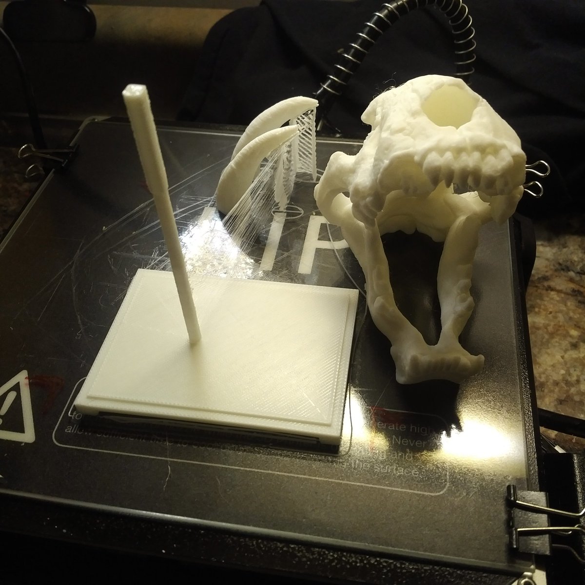 MakerNorth's tweet photo. 3dprinting #3dprinter #makerselect3dprinter #maker hot off buildplate #ssm #thenewsteel #pla #business https://t.co/8oiQEvFMUX