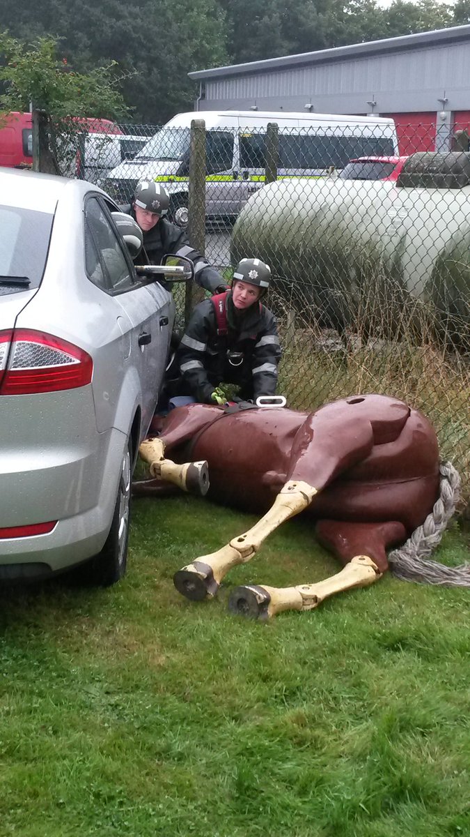 HFRSanimal's tweet photo. A very big thank you to Laura Holmes our vet at today's UKRO challenge #UKRO2016 @bartarescue @Avonvaleequine https://t.co/BTaolmgry9