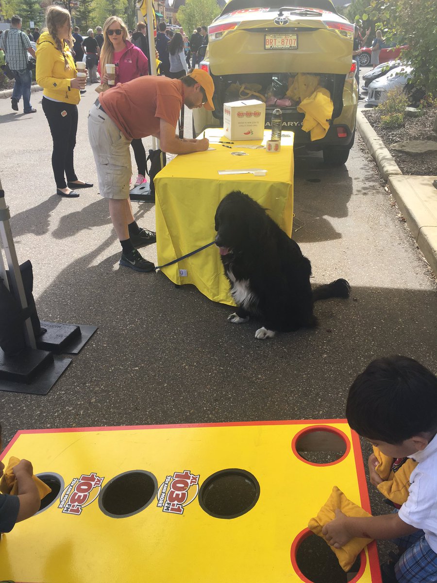 XLStreetSquad's tweet photo. Our new coworker Todd has a very PAWsitive attitude #woofs #cpp2016 https://t.co/Mi2ifpS4Az