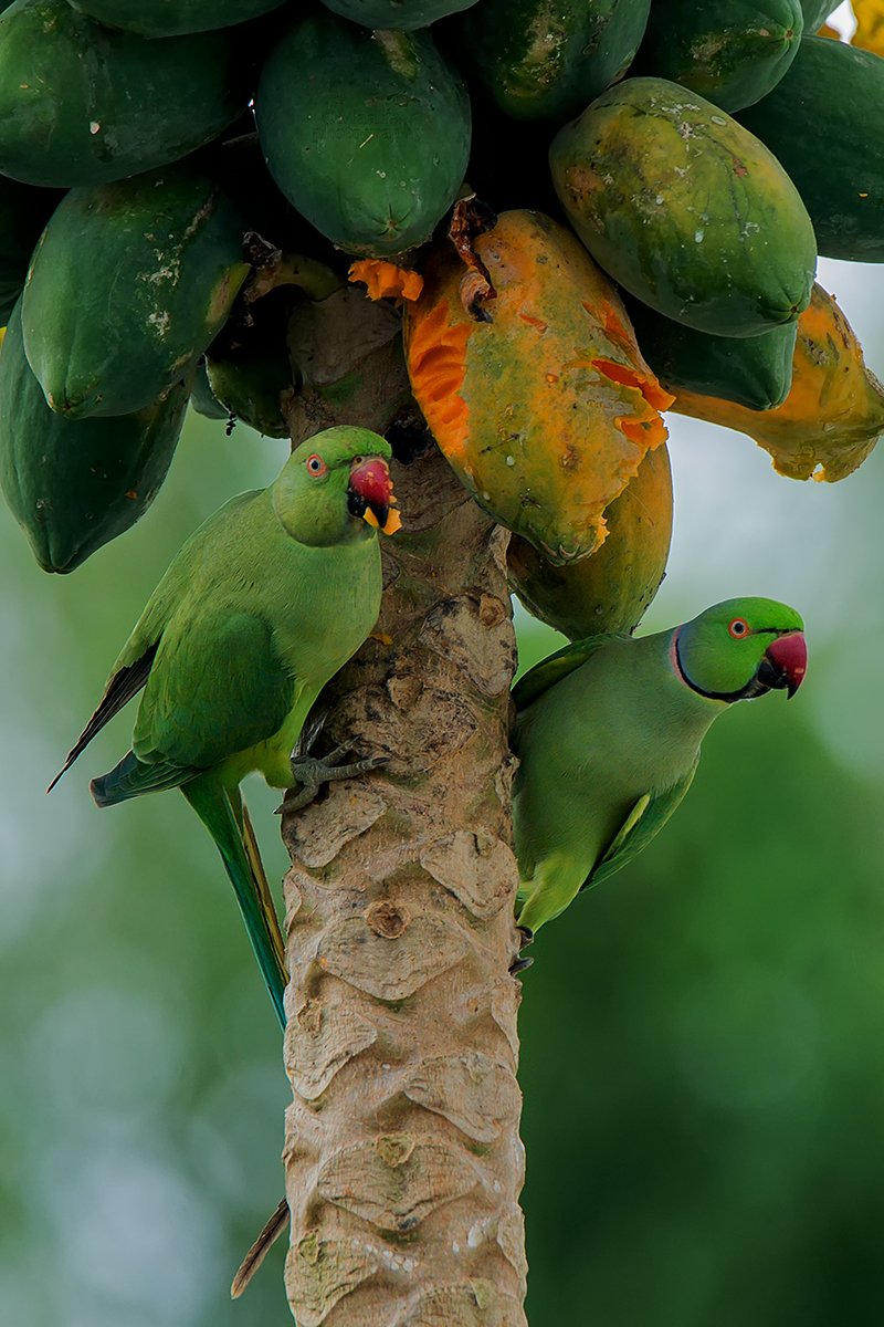 MSELVAK187's tweet image. 