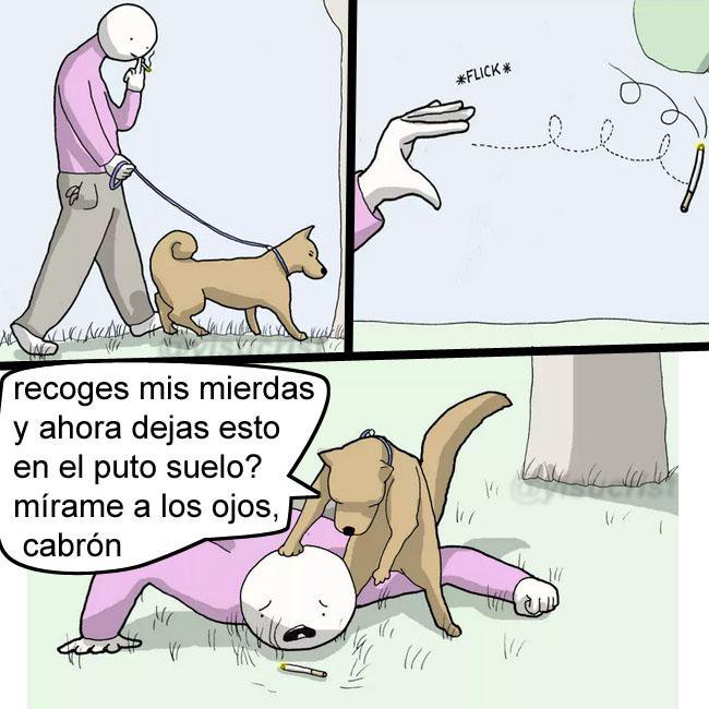 yisucrist's tweet photo. este perro es el verdadero amo https://t.co/FAPia2A93e