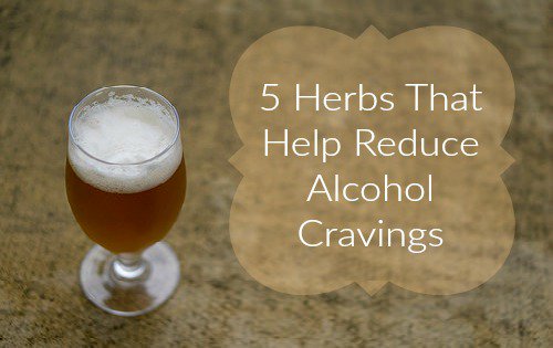 5 #Herbs That Help Reduce #Alcoholism Cravings - dld.bz/eTBez