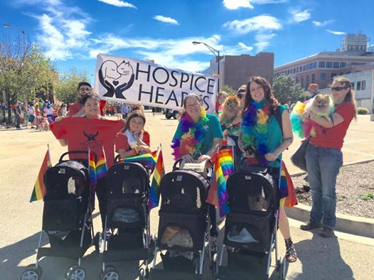 Hospice_Hearts's tweet photo. #CatsInStrollers from @Hospice_Hearts at the #CUPride2016 parade in #Champaign #IL today! FUN! @theUPcenterCU https://t.co/cZZxCIlMbR