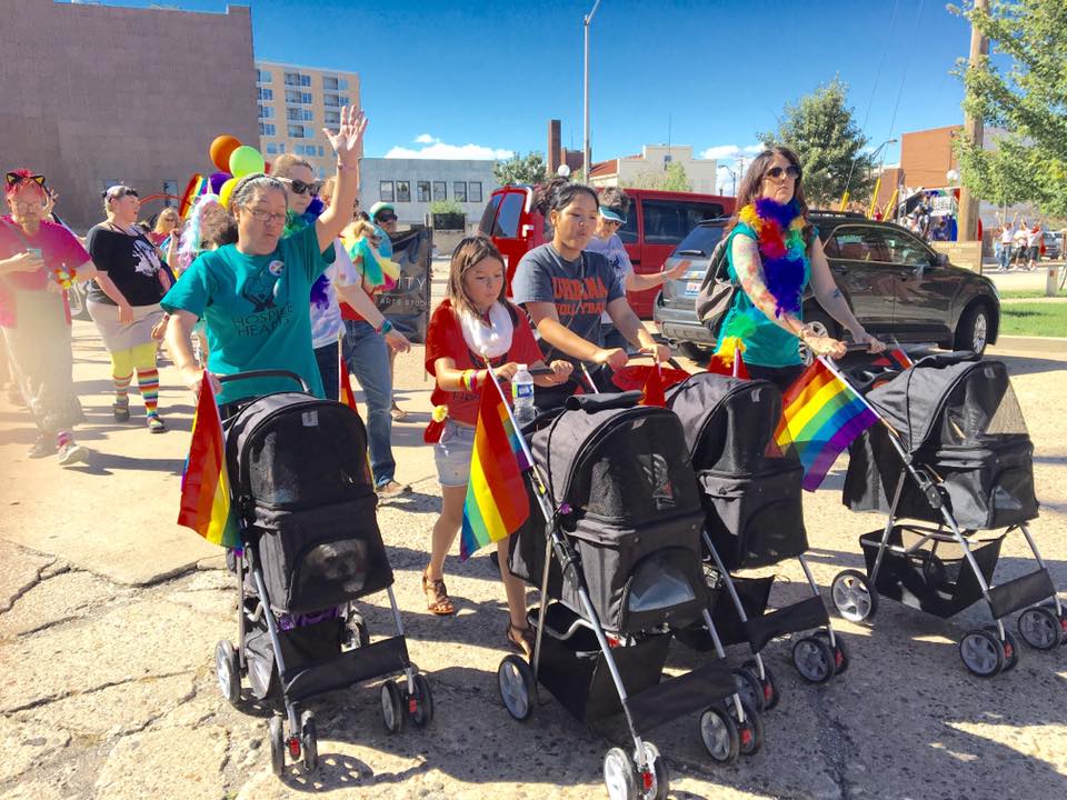 Hospice_Hearts's tweet photo. #CatsInStrollers @Hospice_Hearts at #CUPride2016 Parade on 9/10/16 @theUPcenterCU #CatsOfTwitter #RESCUECATS #cats https://t.co/d2RXR6eQfG