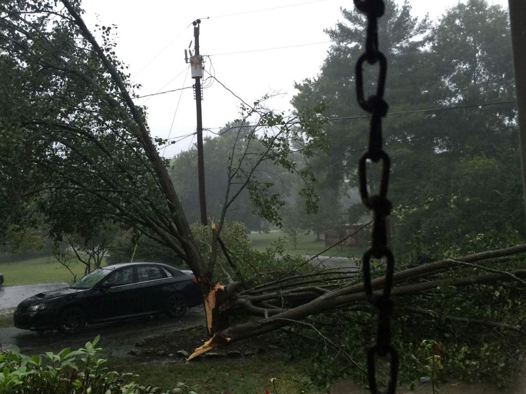 Nicajax's tweet photo. @NashSevereWx @Franklin_WX tree down near Hillsboro Rd #tspotter https://t.co/AcBGNGe1pa