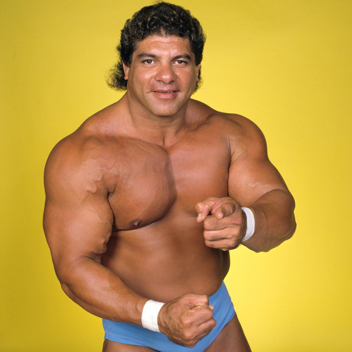Happy Birthday to WWE Hall of Famer, Don Muraco! HappyBirthdayDonMuraco | WWE | Scoopnest