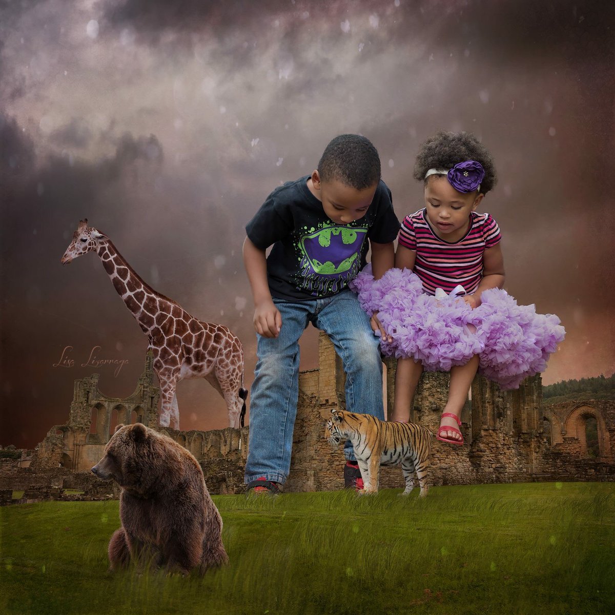 DreamyCapture tweet picture