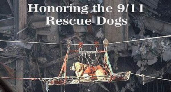 Remembering 😔#lulubeangifts #bubbarose #dogsoftwitter #doggifts #doglove #bestfriend #herodogs #911dogs #911memorial