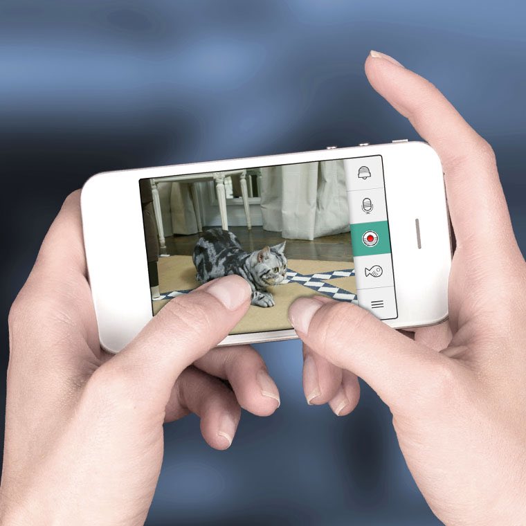 JannaRRobinson's tweet image. #Techorating isn't just home decor it's a lifestyle. Check out this tech for your pets bit.ly/TechoratePets