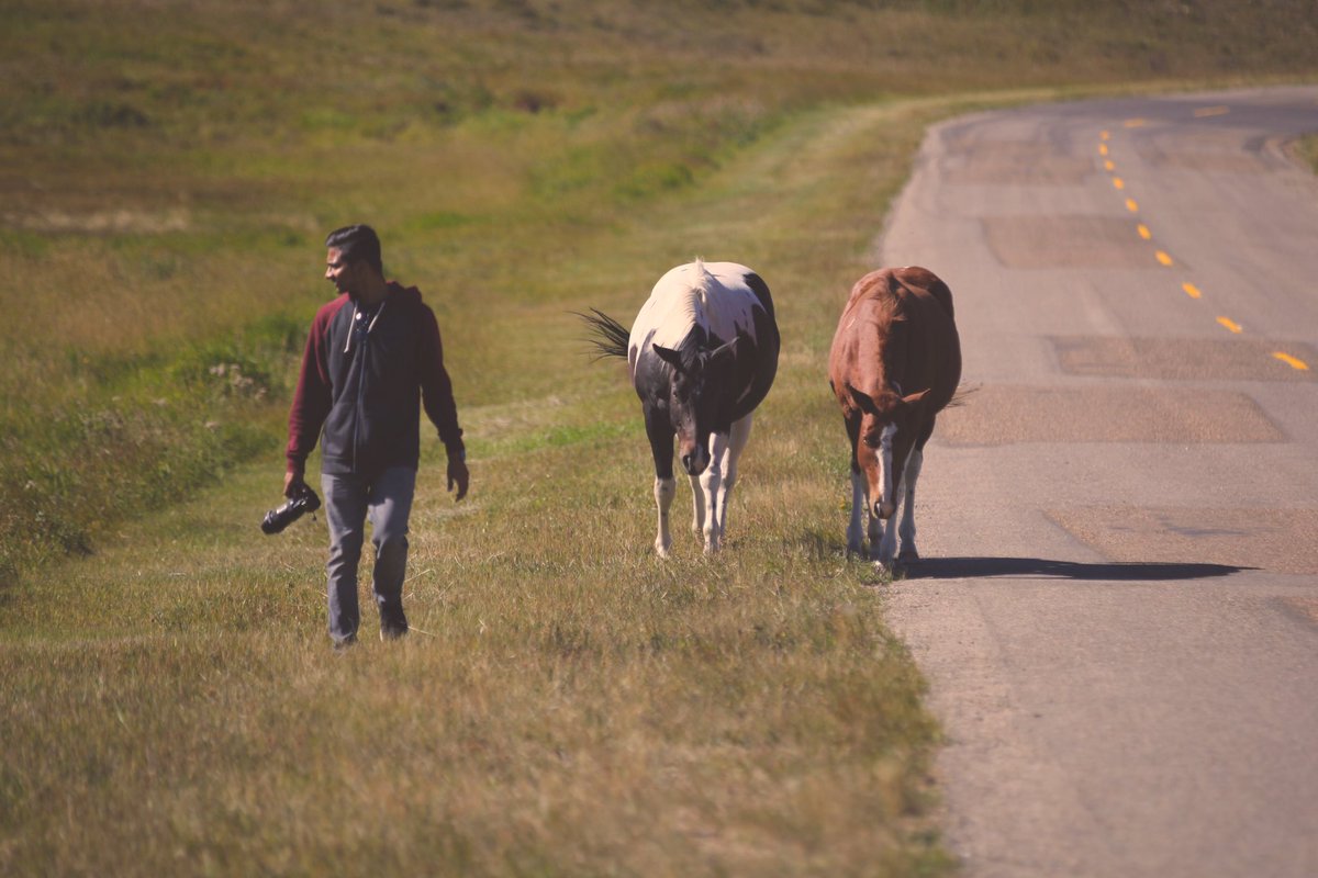 Saskatchewan's tweet photo. The best friends in life are made in the most unfamiliar places. ๐ #ExploreSask #GoingLocalCHDA https://t.co/14edEoUqfJ