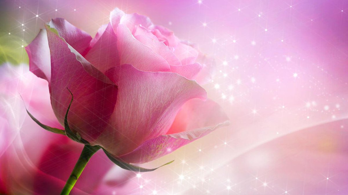 NathyloveOk's tweet photo. #TM1DN 🌹
@ELITE_LEGENDZ_ @gr8benj @MofkPm33 @thalyrosio @fevziates3 @Nathaly22S @labebacard @Arab_Arabism @geanny83 https://t.co/iimExbyEOZ