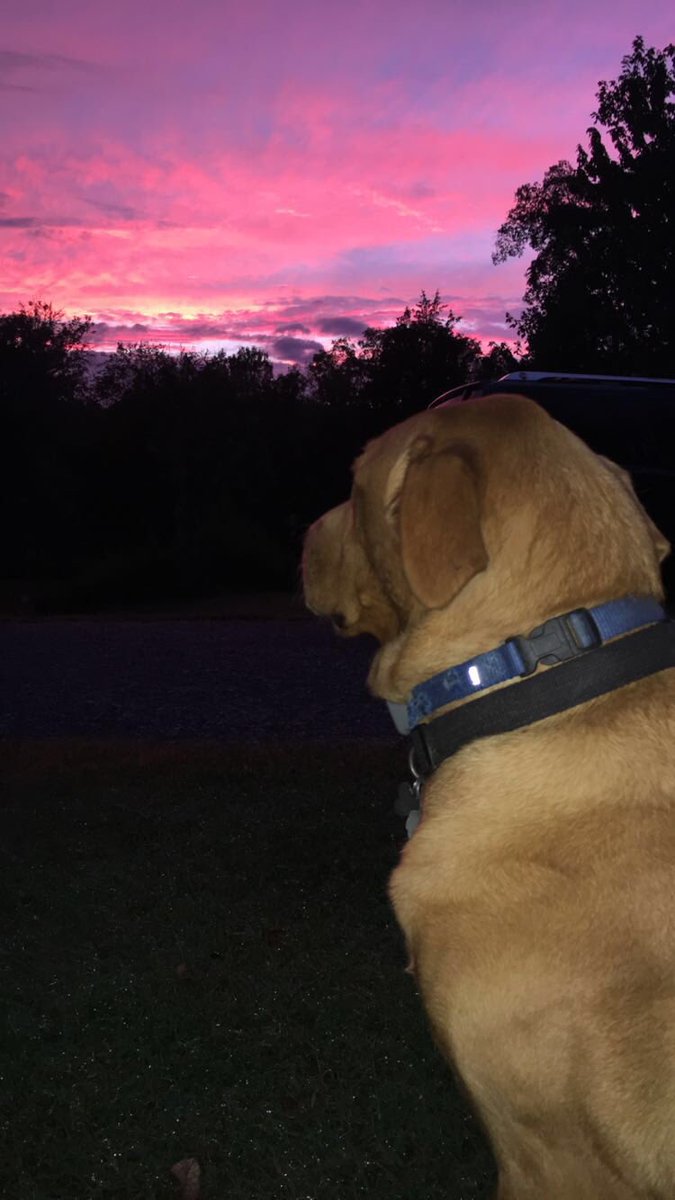 fallingwinter00's tweet photo. He thought the sky was pretty but I thought he was prettier https://t.co/t25SM7o1hO