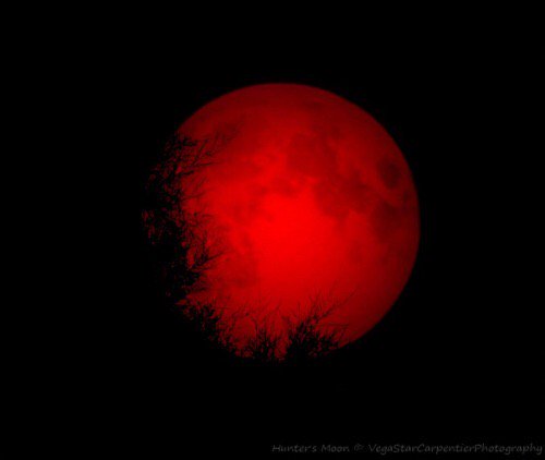 lbscottt's tweet photo. Joel 2:31 "The moon (shall be turned) to blood before the great and dreadful day of the Lord comes." ๐ฑ
#bleedingmoon https://t.co/IxghOxE18v