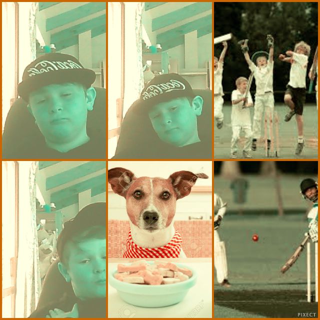 zakky boi has a doggo zg8tor twitter - cscf mod roblox