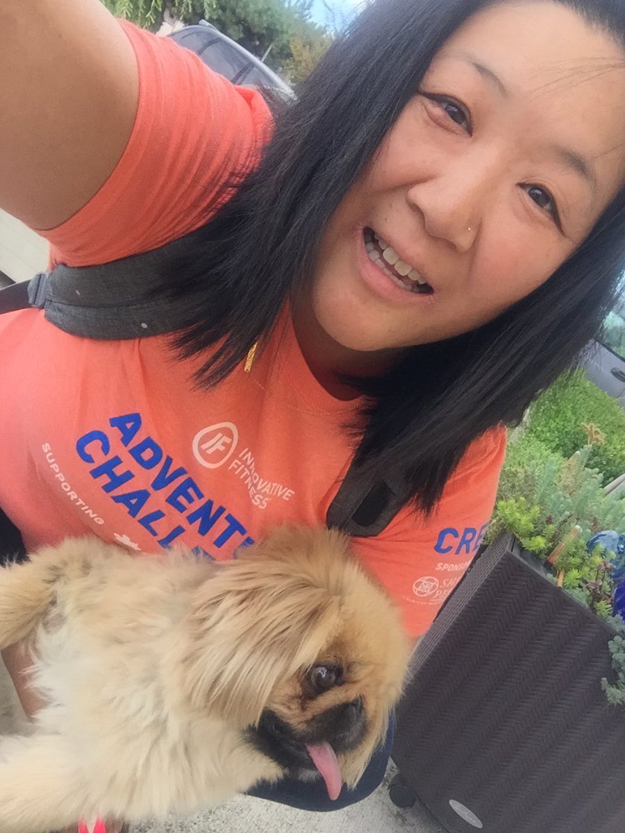 Found a dog on event set up, again! Last time while marking the <a href="/WheelToHeal/">Wheel 2 Heal</a> course and now for <a href="/IFAdvChallenge/">IF Adventure Challenge</a>!