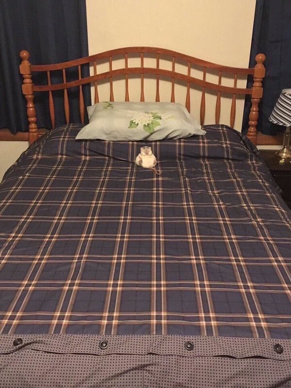 byreIatable's tweet image. Friends: "Hey do you wanna go out"

Me: sorry, I'm busy....