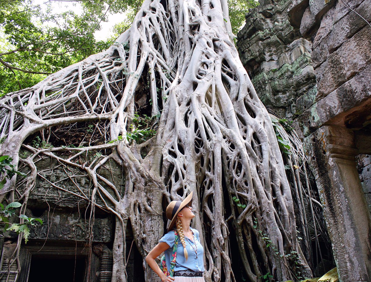 Root•ing on mother nature as she takes back what's rightfully hers 🌏🍃🗿 #taprohm #tombraidertemple